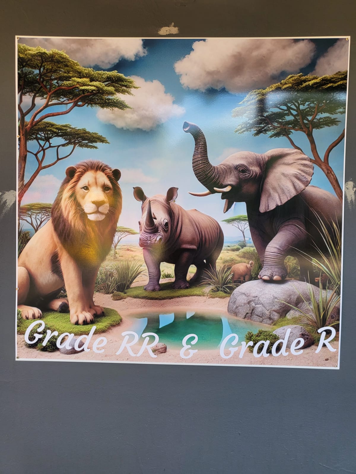 WhatsApp Image 2024-12-05 at 08.47.56